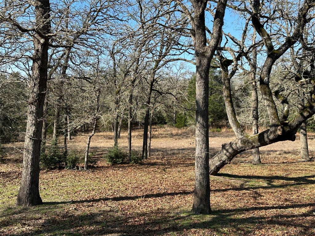 1047 Private Road 3022 Elgin TX 78621