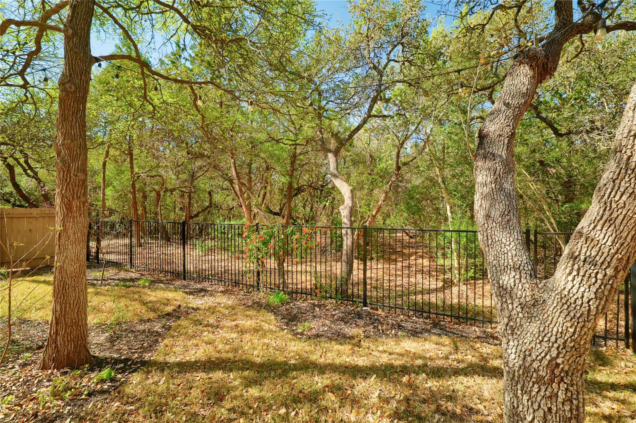 11009 Cherisse Drive Austin TX 78739