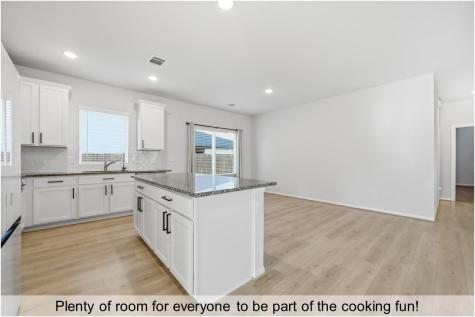 204 Bethany Creek Drive Hutto TX 78634
