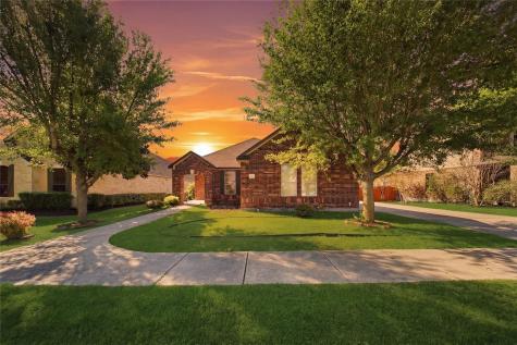 18417 Star Gazer Way Pflugerville TX 78660
