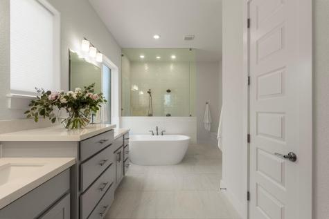 298 Canal Drive Dripping Springs TX 78620