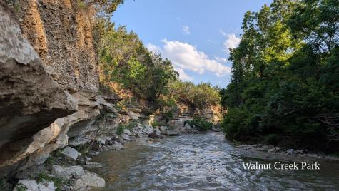 1714 Prairie Hen Cove Austin TX 78758