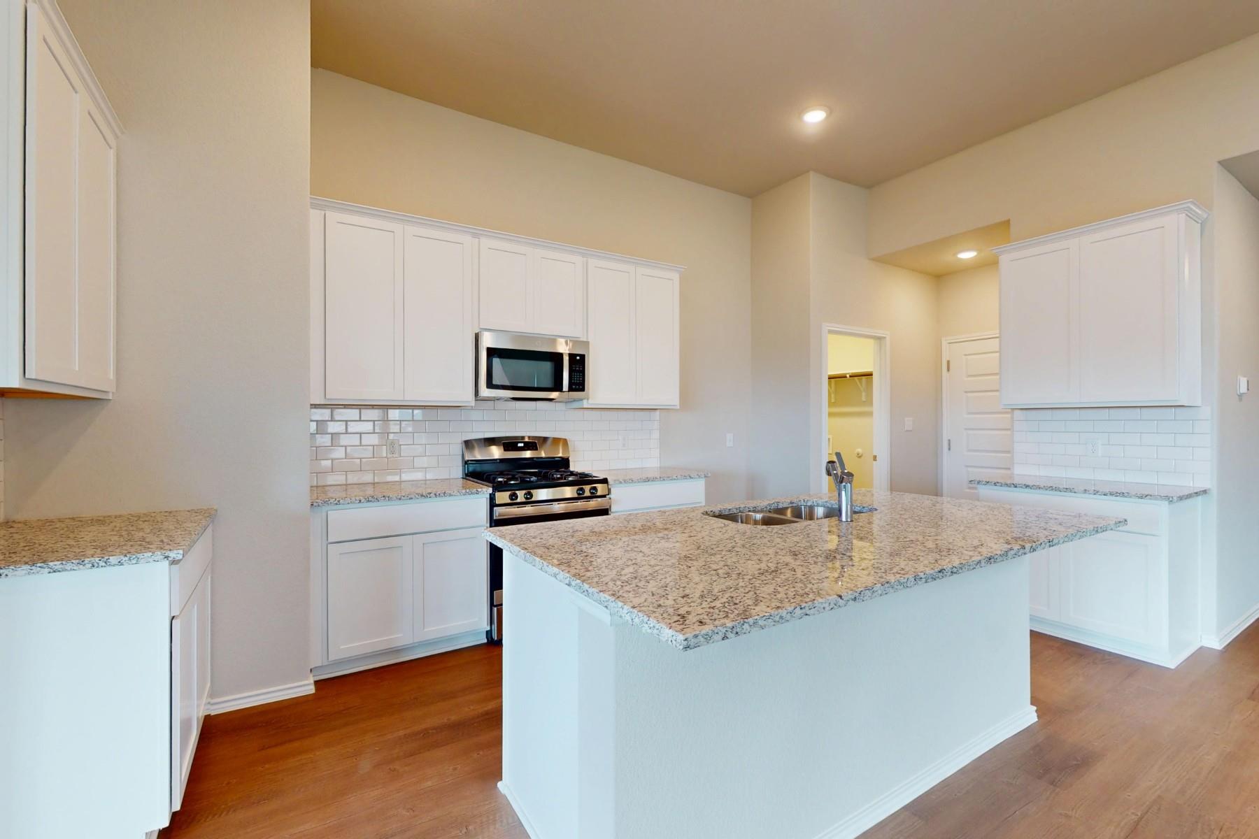 20005 Hirono Drive Manor TX 78653