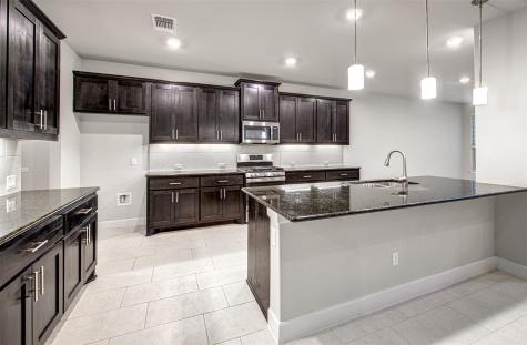 316 Buffalo Ridge Drive Manchaca TX 78652