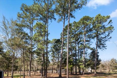 144 Old Potato Road Paige TX 78659