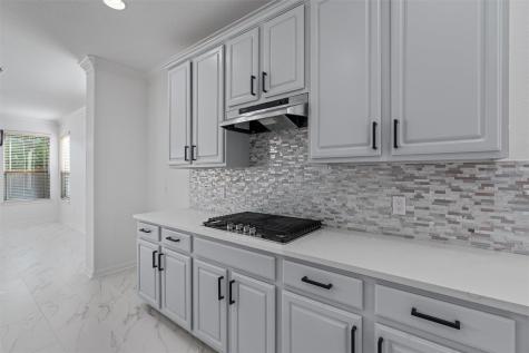 3113 Misty Heights Cove Pflugerville TX 78660