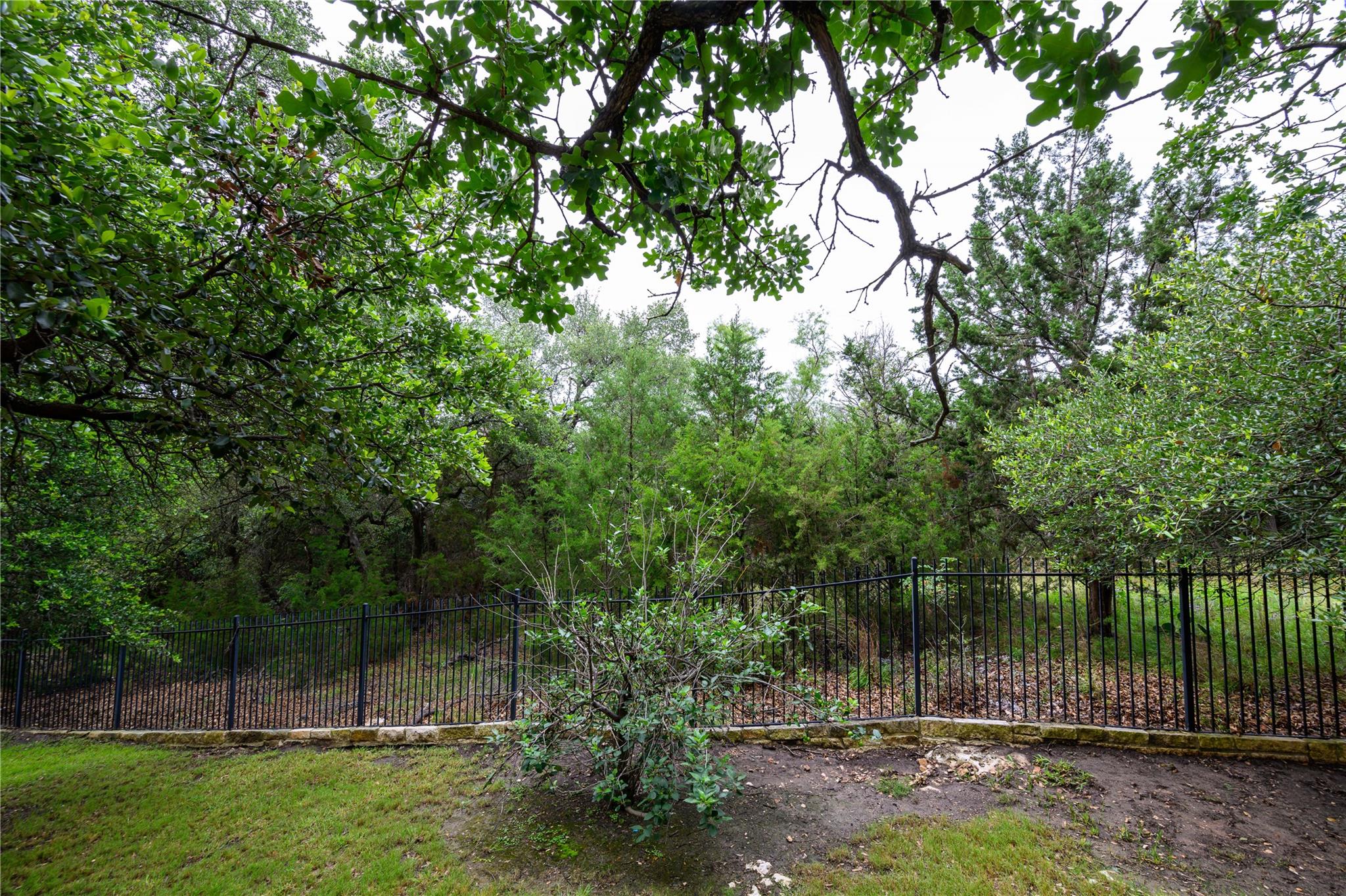3904 Avery Woods Lane Cedar Park TX 78613