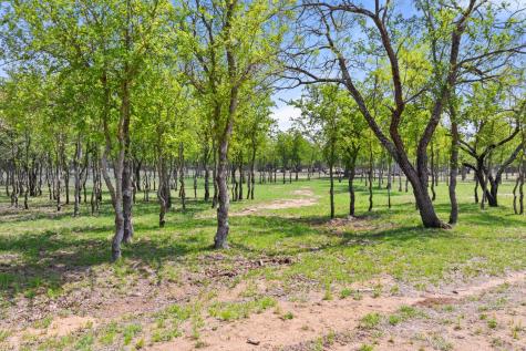 10900 Ranch Road 1323 Johnson City TX 78636