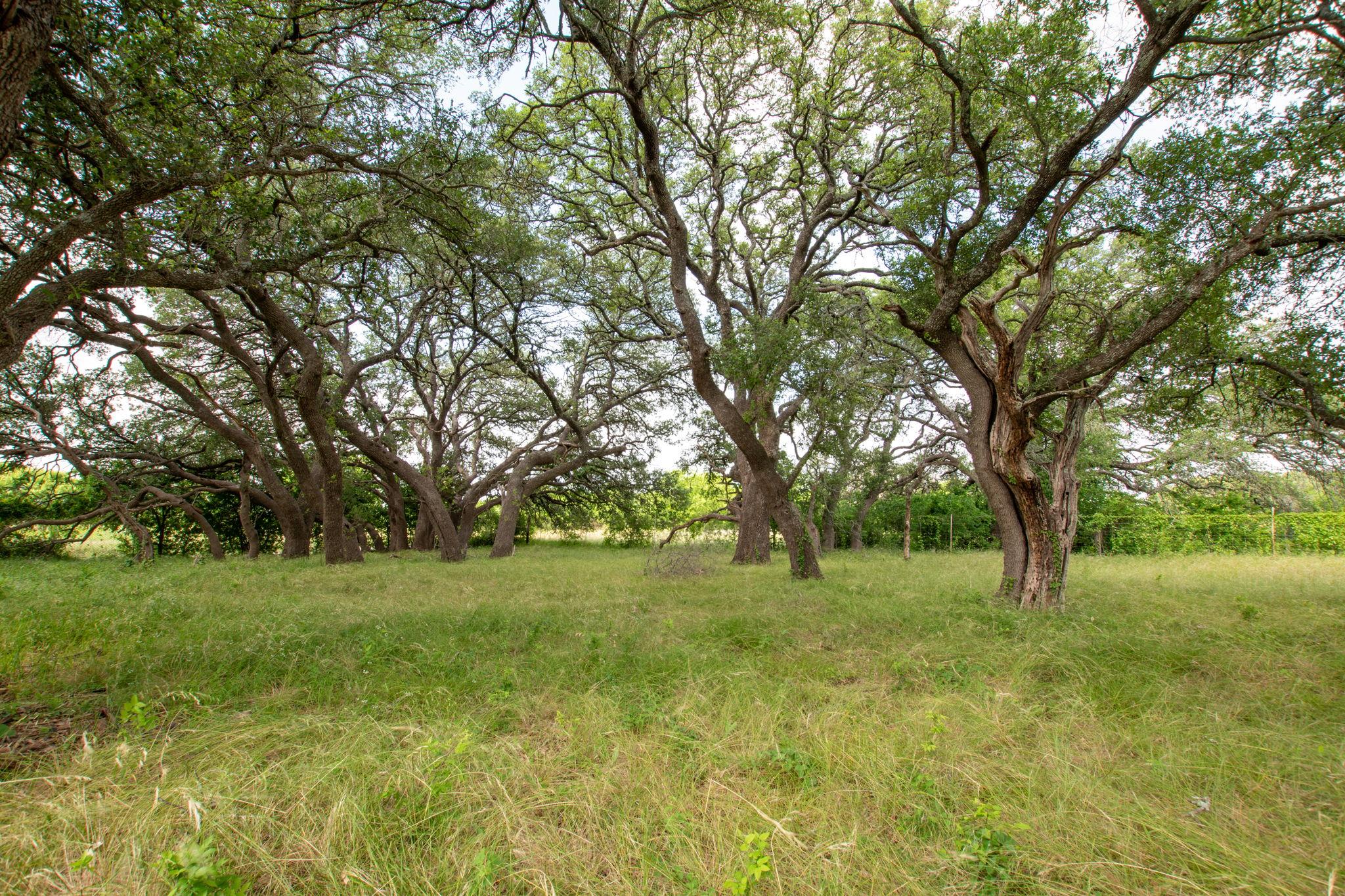 450 Cr 204 Burnet TX 78611