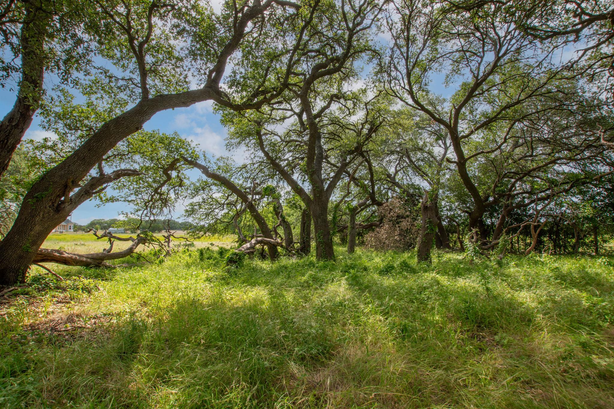 450 Cr 204 Burnet TX 78611