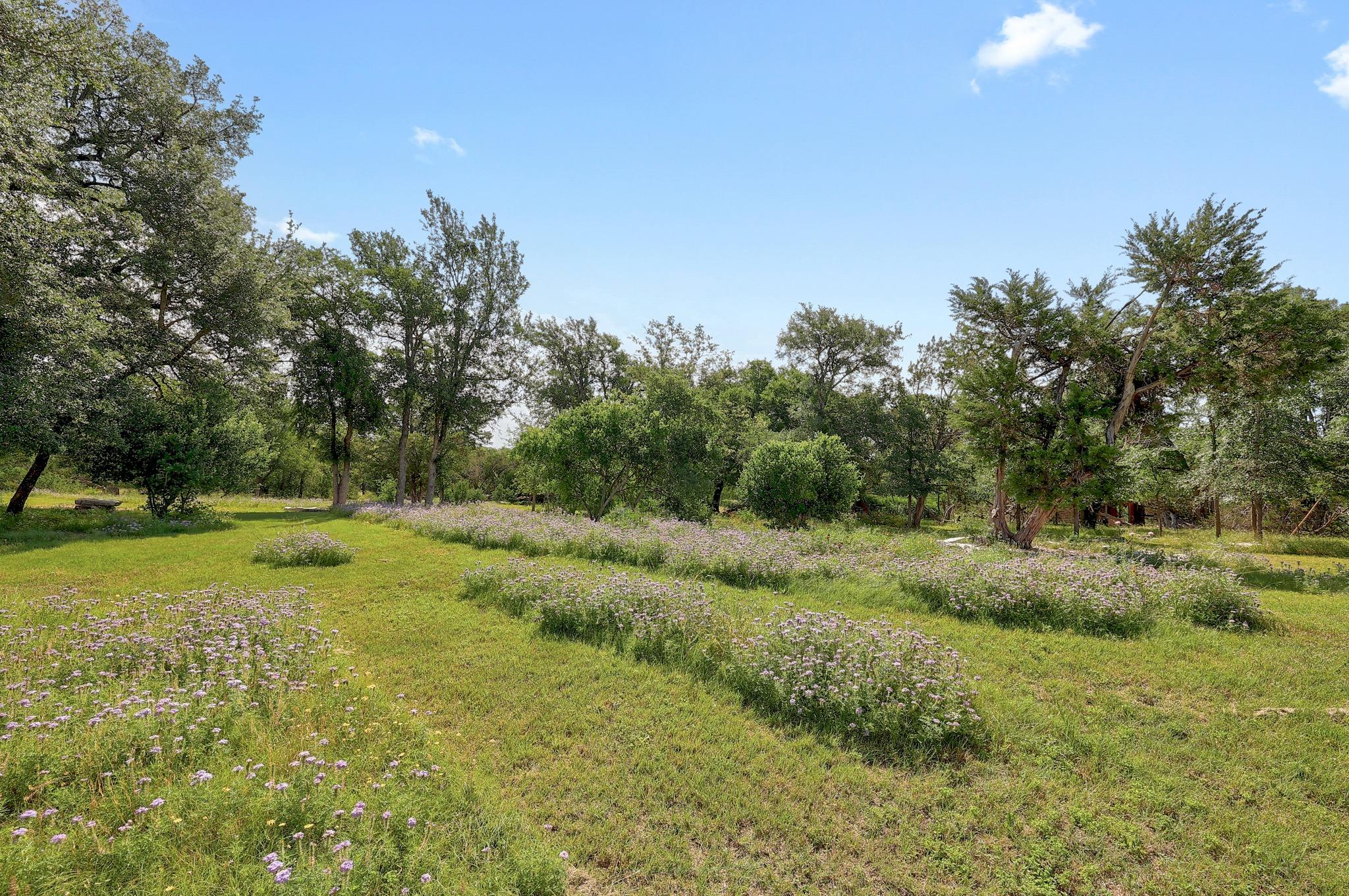 105 Arrowhead Road Georgetown TX 78633