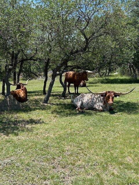 2124 Crabapple Road Blanco TX 78606