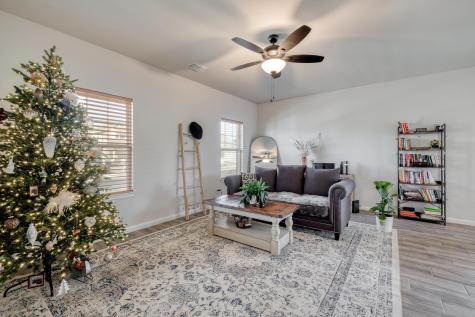 241 Arabian Colt Drive Georgetown TX 78626
