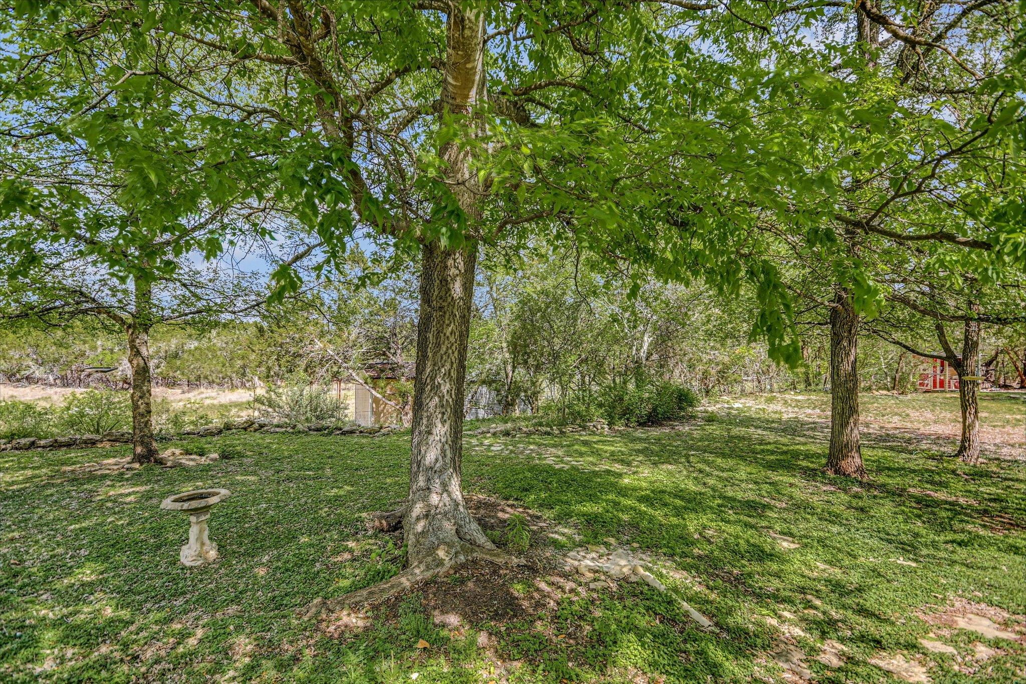 175 Fischer Trail Wimberley TX 78676