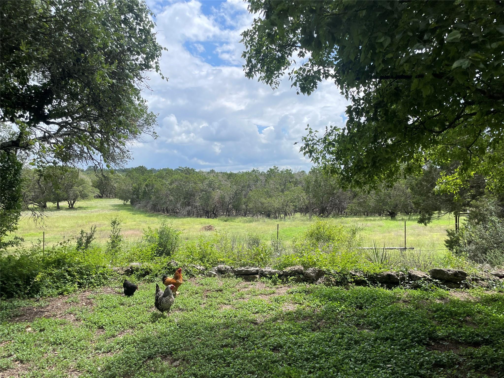 175 Fischer Trail Wimberley TX 78676