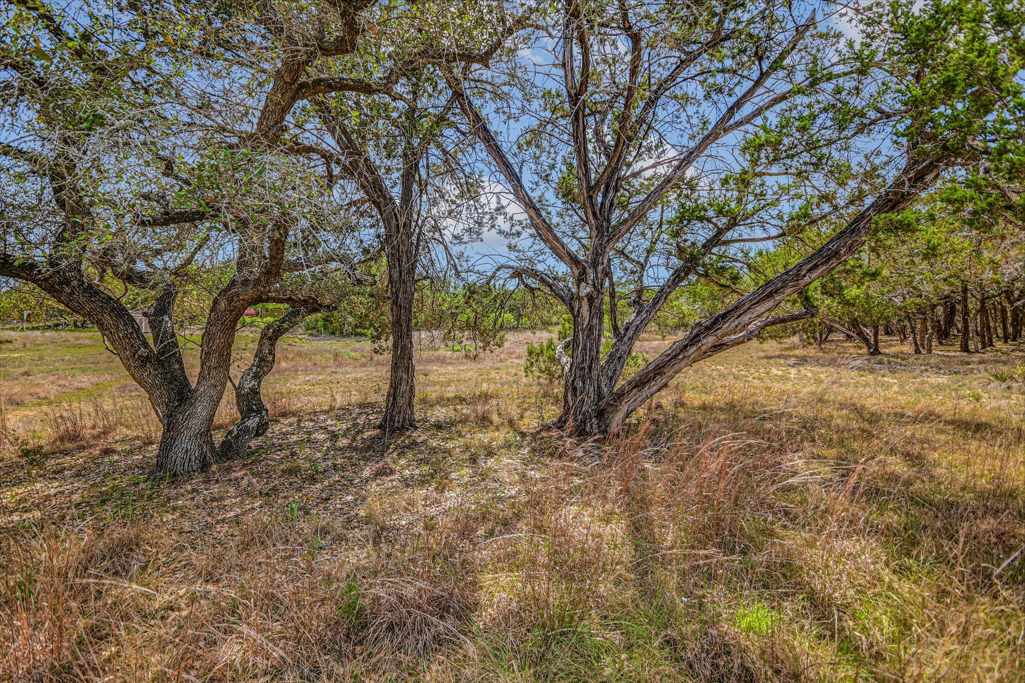 175 Fischer Trail Wimberley TX 78676