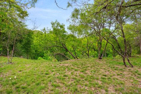 372 Raptor Beak Way Cedar Creek TX 78612