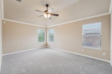 20913 Windmill Ridge Street Pflugerville TX 78660