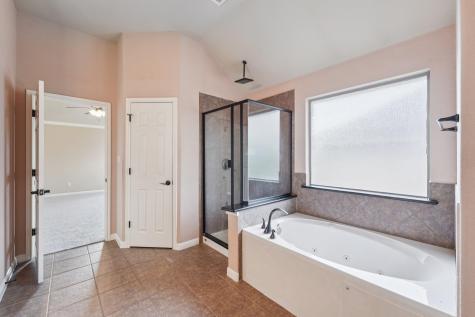 20913 Windmill Ridge Street Pflugerville TX 78660
