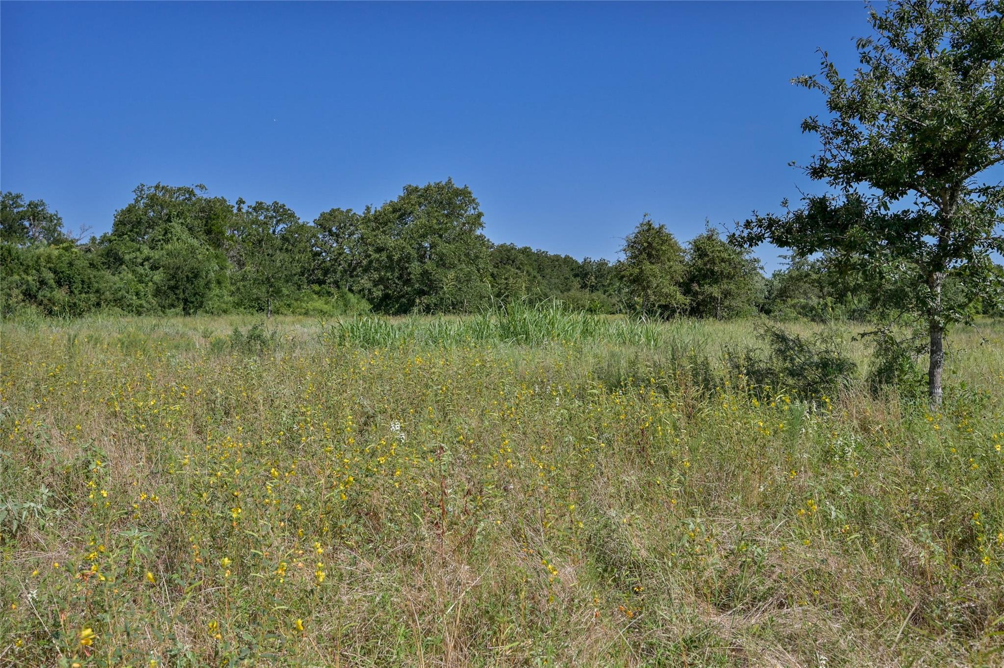 681 County Road 474 Elgin TX 78621