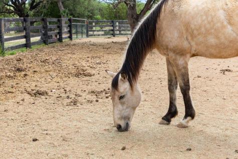 3830 Outback Trail Spicewood TX 78669
