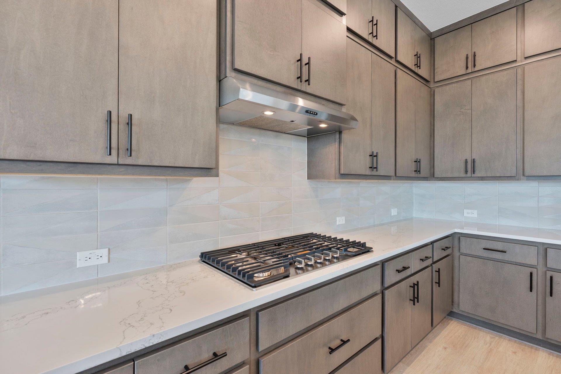 1904 Crimson Sunset Drive Georgetown TX 78628