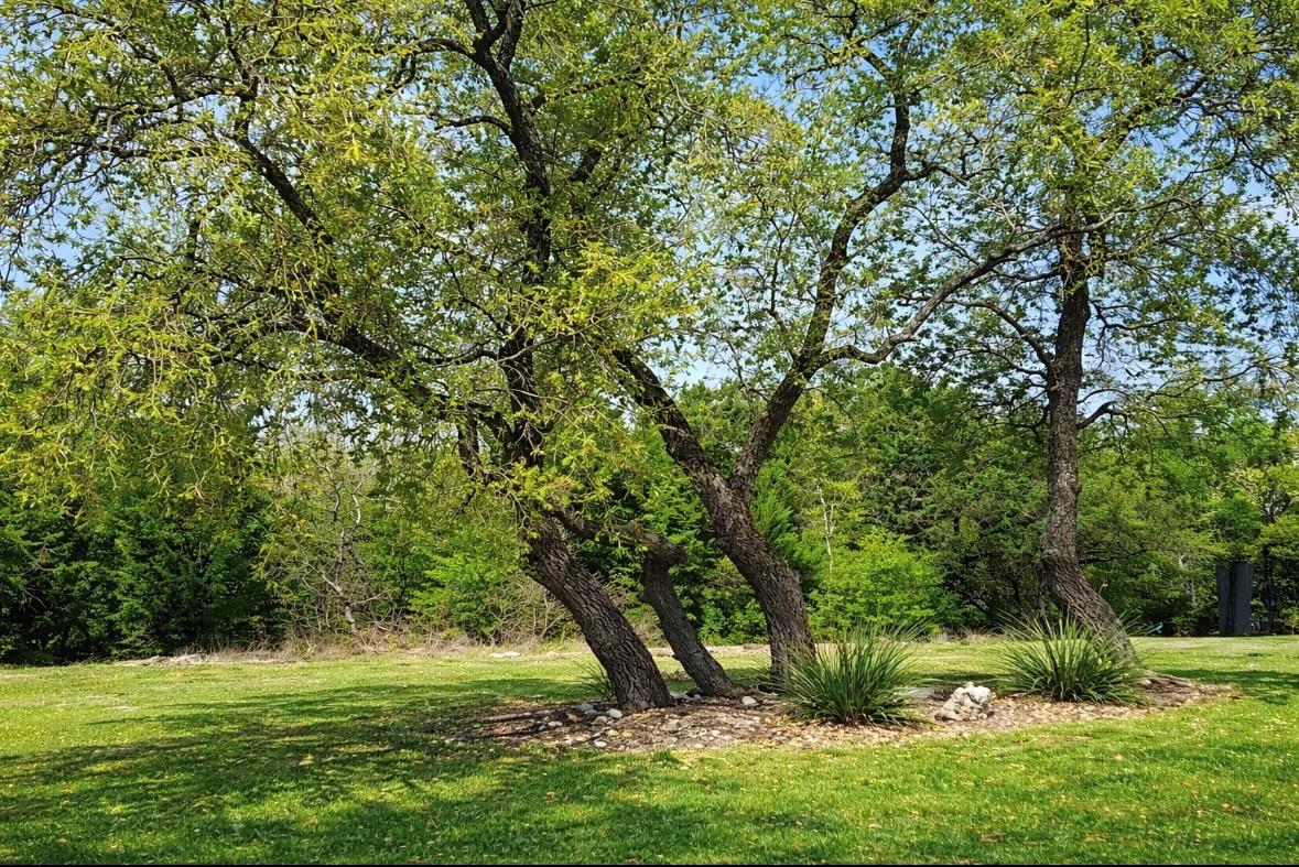 1300 Deering Creek Drive Leander TX 78641