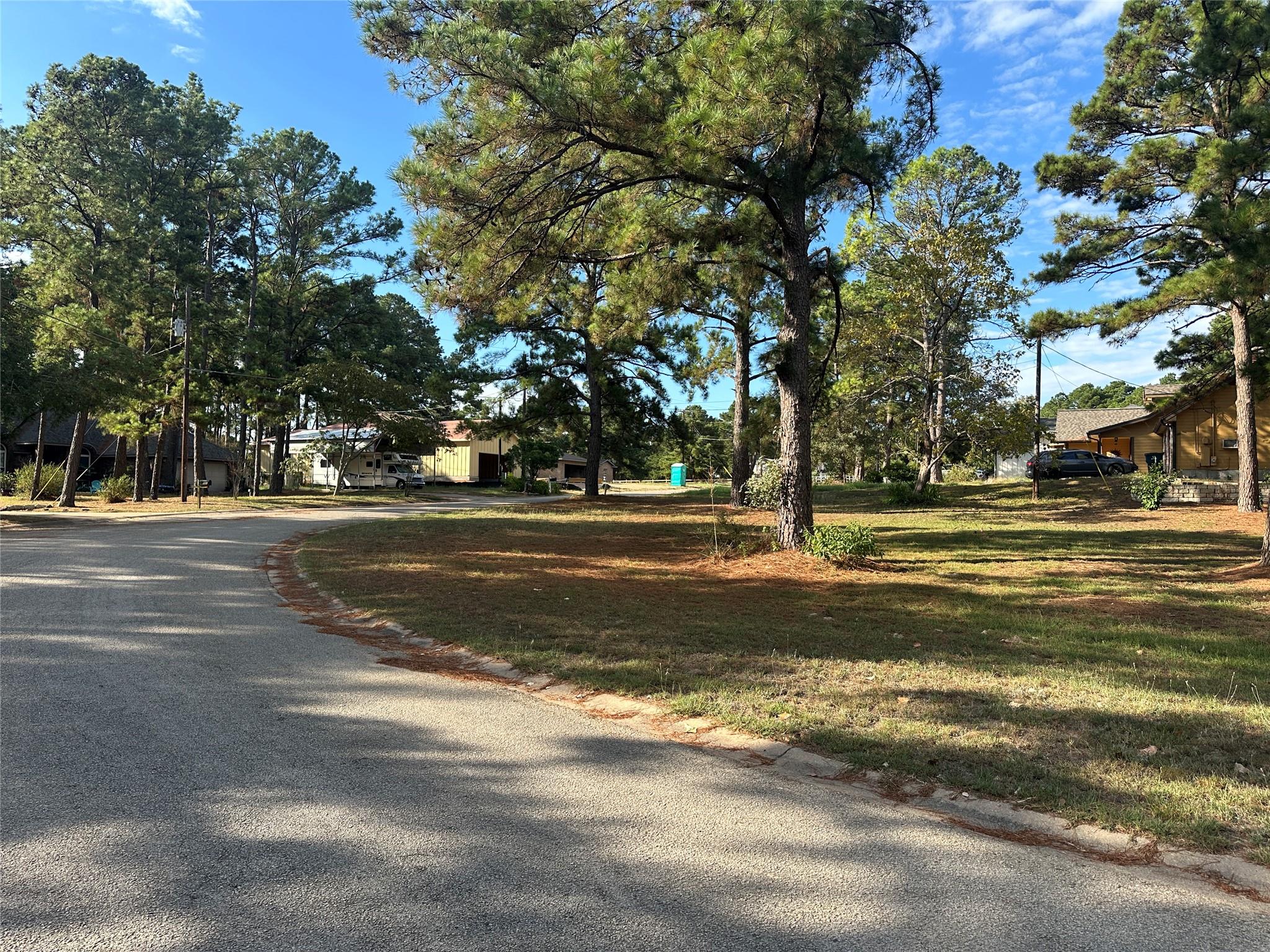 258 Pine View Loop Bastrop TX 78602