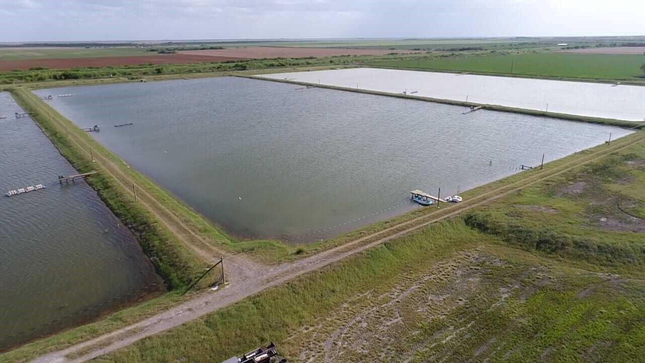 7979 Goyo Garcia Road Raymondville TX 78580