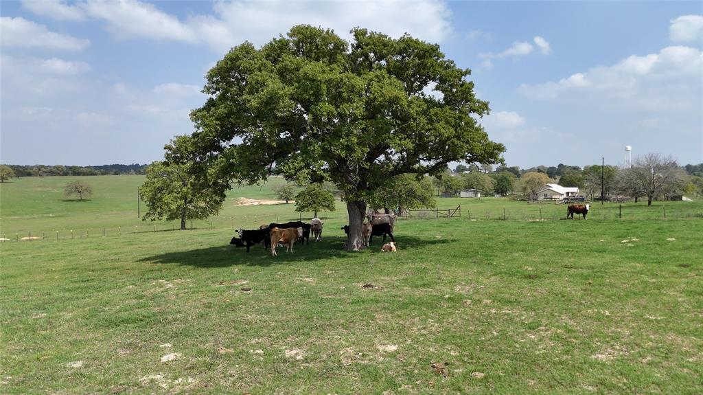 2792 Fm 535 Rosanky TX 78953