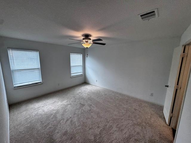 13713 Henry A Wallace Lane Manor TX 78653