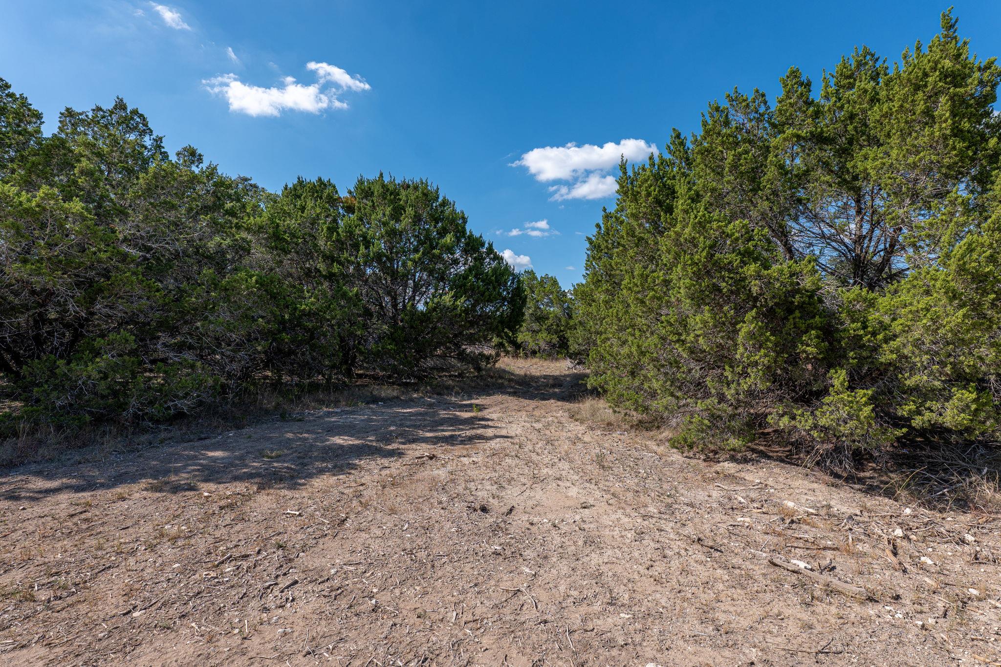 213 Midnight Sky Drive Austin TX 78737
