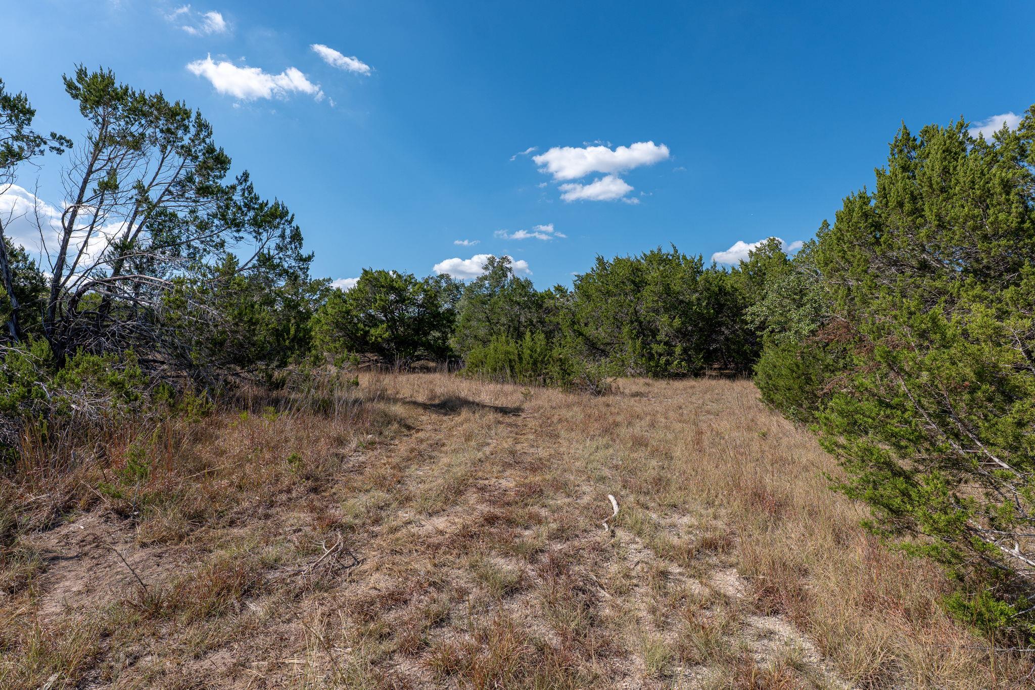 213 Midnight Sky Drive Austin TX 78737