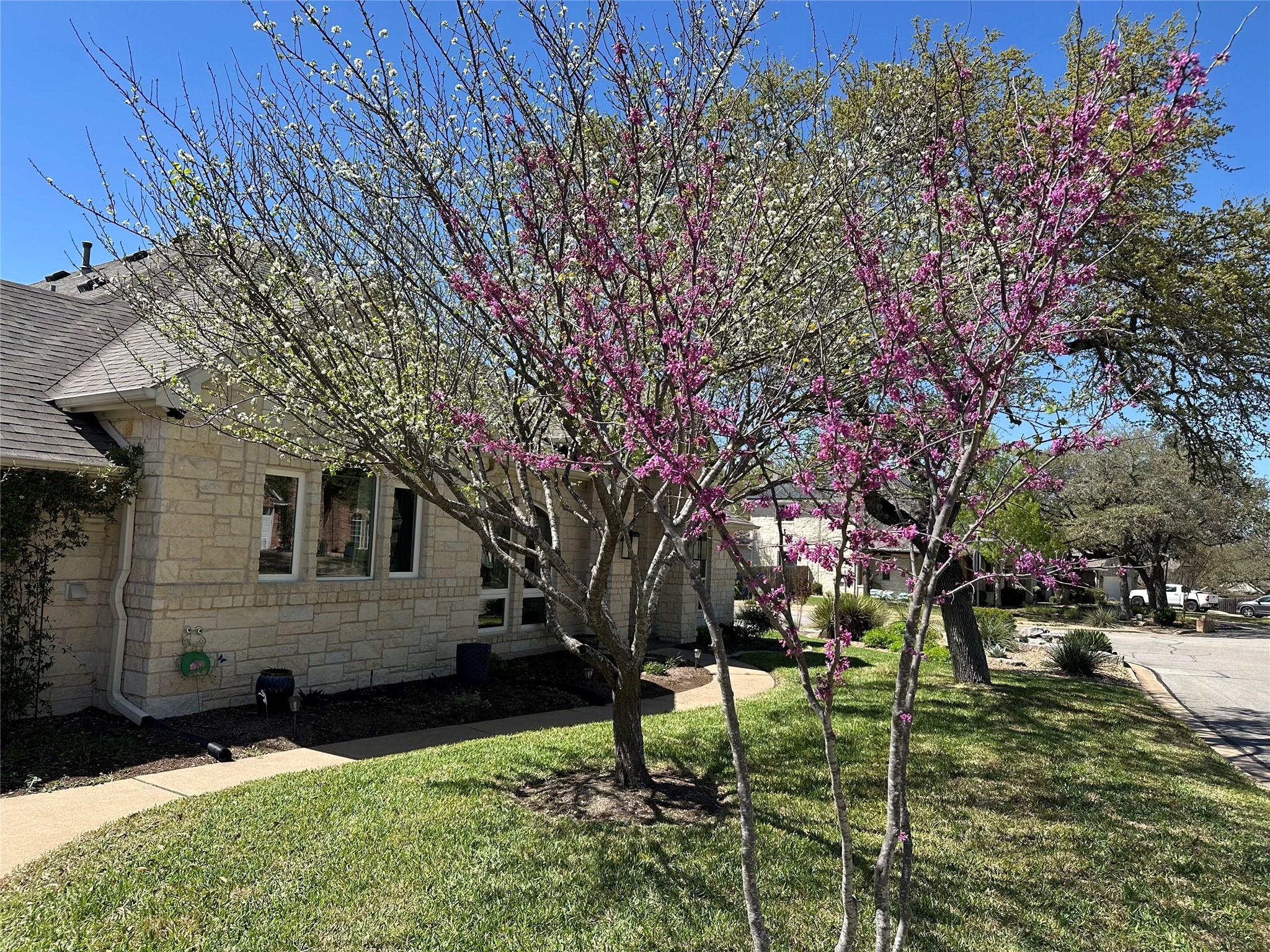 6513 Way Lane Austin TX 78739
