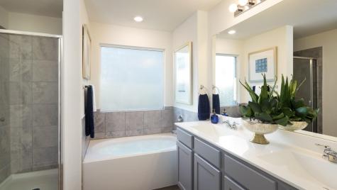 17816 Indigo Bunting Lane Pflugerville TX 78660