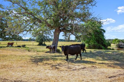 1099 Private Road 1061 Paige TX 78659