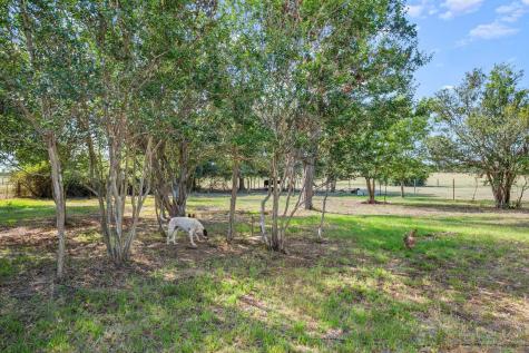 1099 Private Road 1061 Paige TX 78659