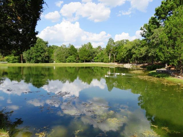 111 Post Oak Drive Elgin TX 78621