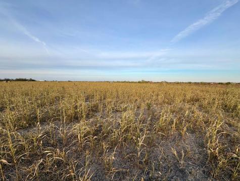 366 County Road 123 Buckholts TX 76518