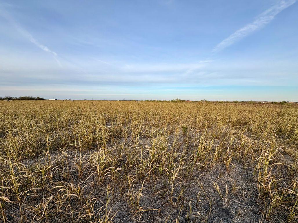 366 County Road 123 Buckholts TX 76518