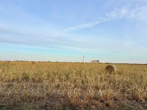 366 County Road 123 Buckholts TX 76518