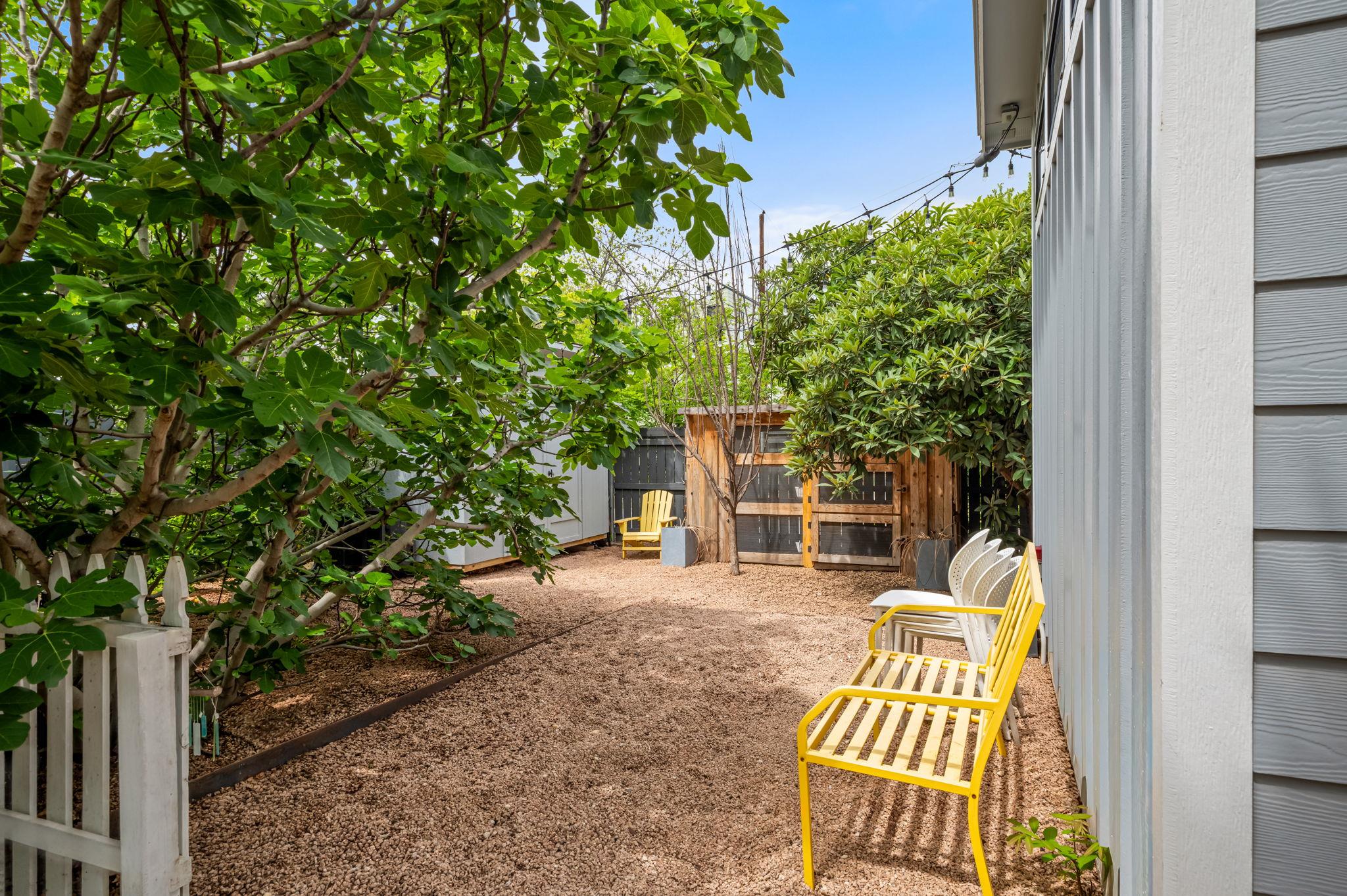 123 Havana Street Austin TX 78704
