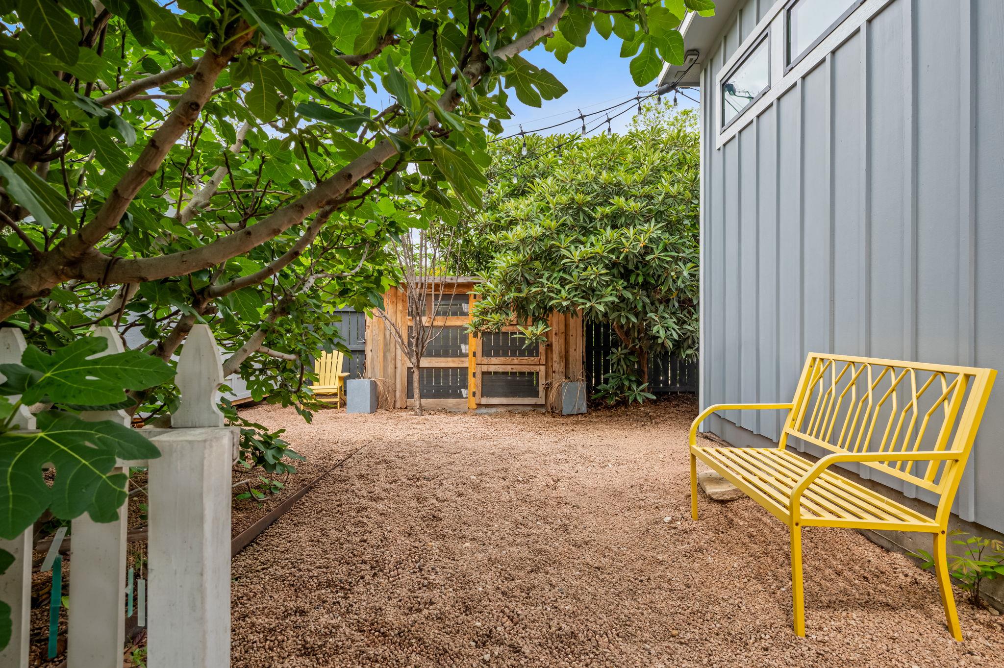 123 Havana Street Austin TX 78704