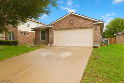 18536 Blue Pond Drive Pflugerville TX 78660