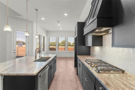 1649 Willow Bean Drive Georgetown TX 78633