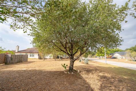 127 Meadow Way Cedar Creek TX 78612