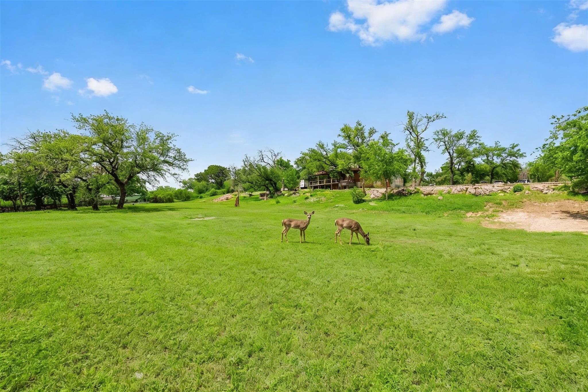 17101 Feather Rock Trail Austin TX 78734