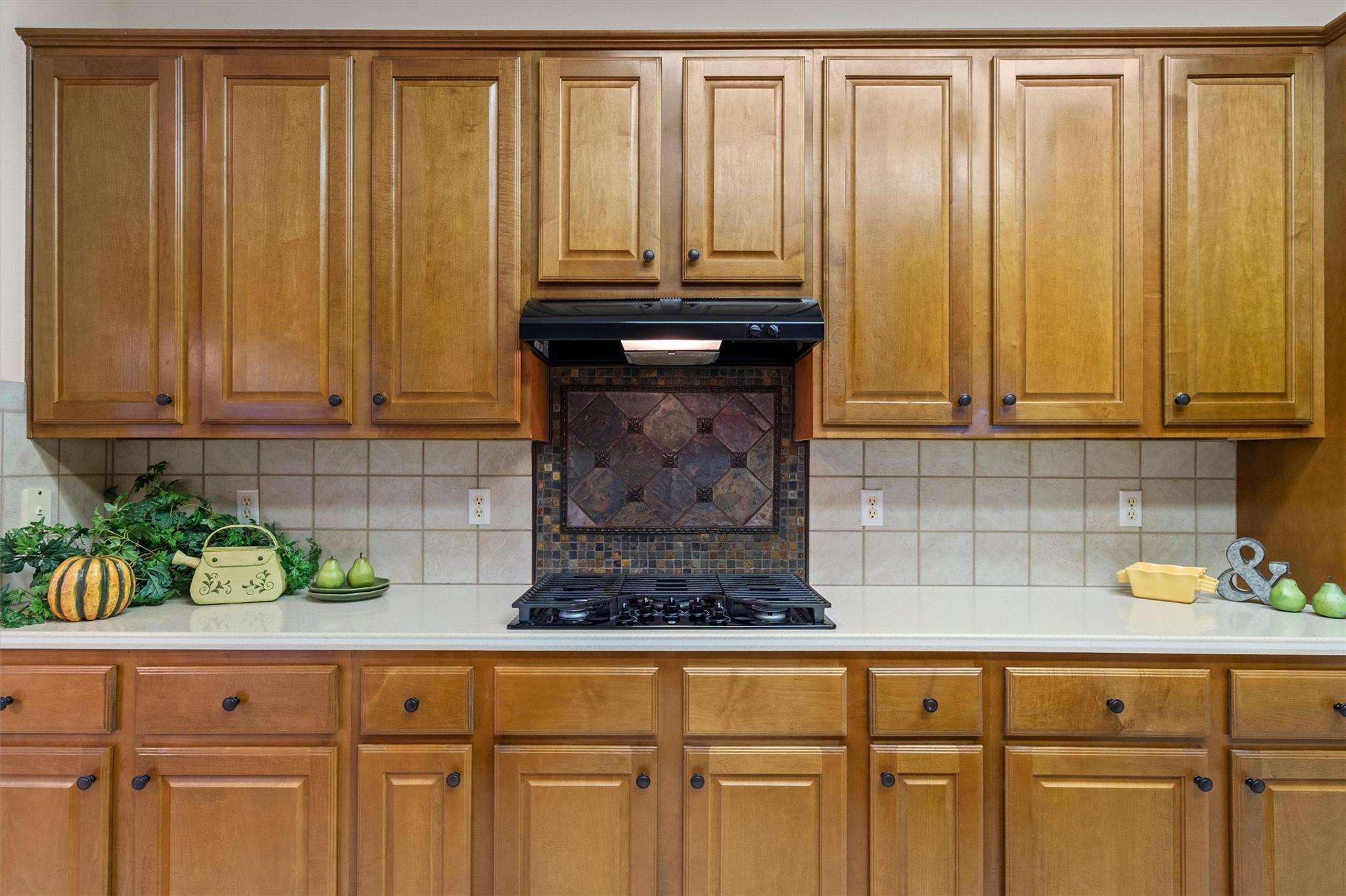 106 Swallowtail Circle Georgetown TX 78633