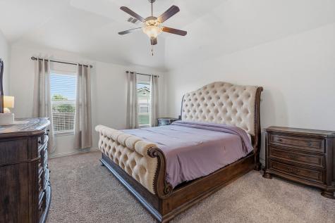145 Plantain Drive Hutto TX 78634