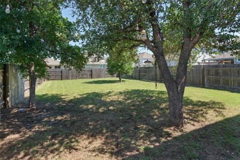 500 Briar Stone Court Georgetown TX 78628